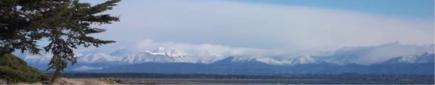 NZ scene